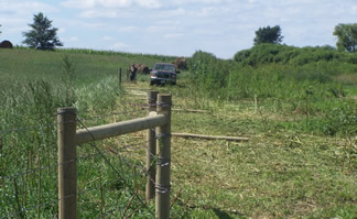 Fence Posts
