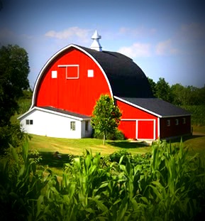 Farm